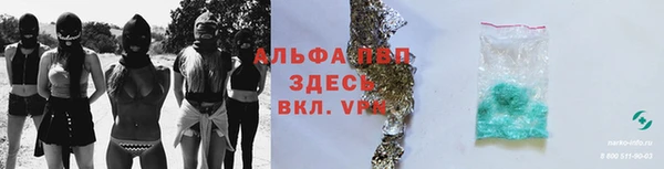 крисы Алзамай