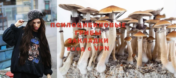 крисы Алзамай