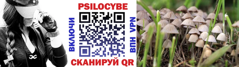 MEGA   хочу   Лиски  Псилоцибиновые грибы мухоморы 