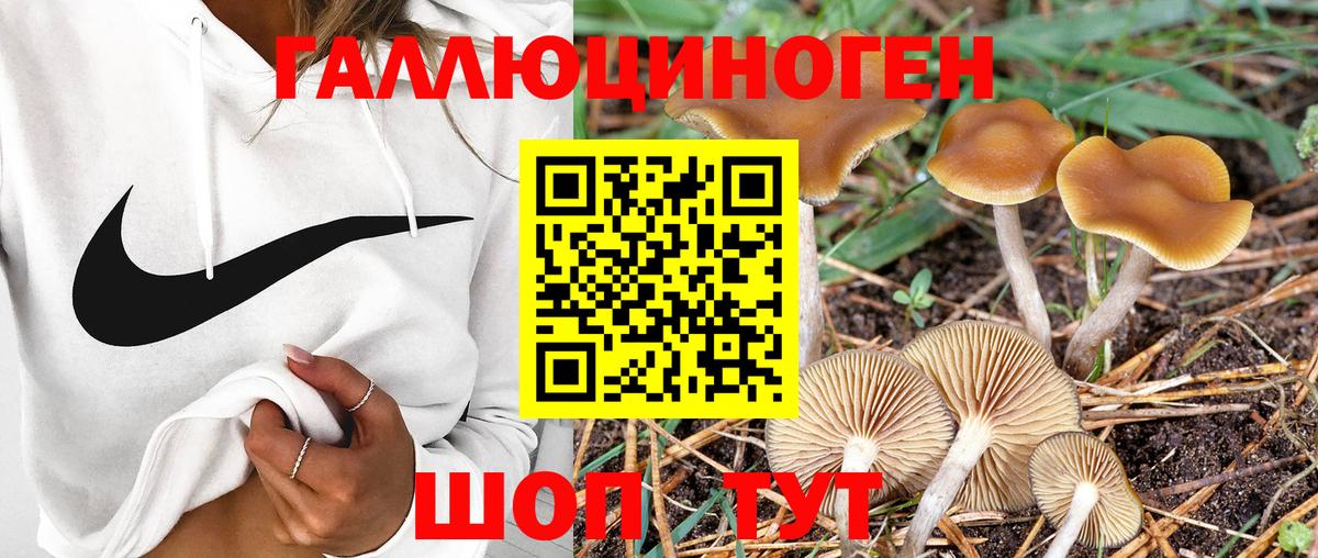 Псилоцибиновые грибы мухоморы Лиски